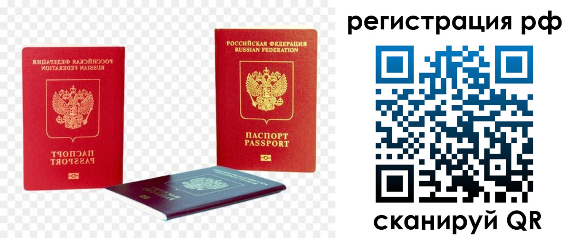 прописка паспорт в Щиграх