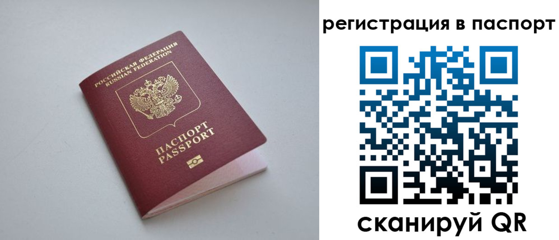 найти адрес прописки в Щиграх